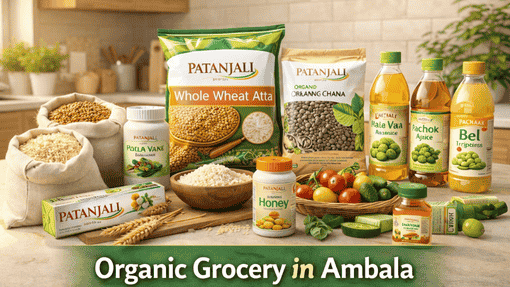 top herbal product stores in Haryana.